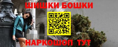 крисы Нальчик