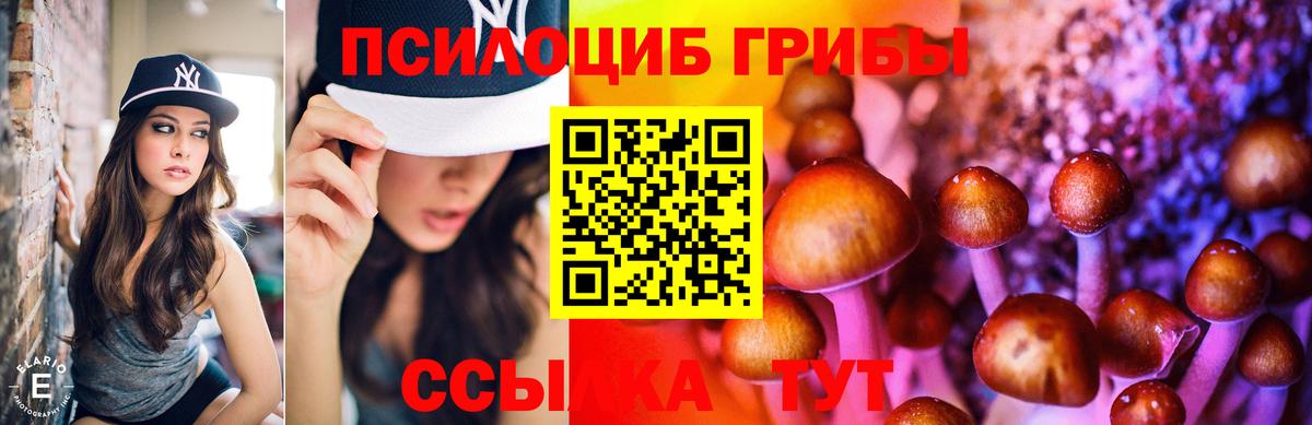 Галлюциногенные грибы GOLDEN TEACHER Бузулук